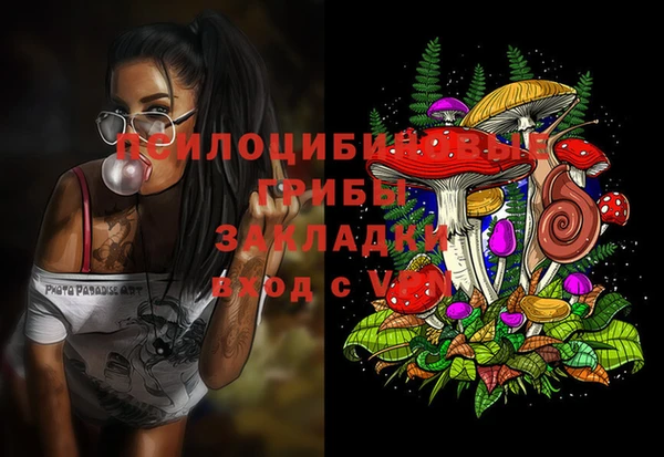 не бодяженный Нефтегорск