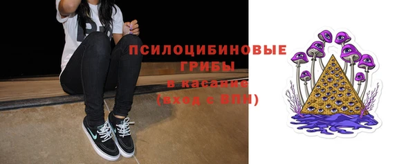 Альфа ПВП Нея