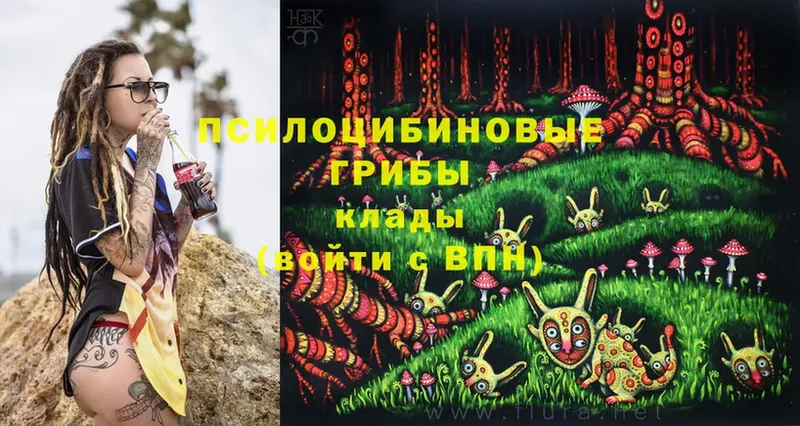 Галлюциногенные грибы Cubensis  Серпухов 