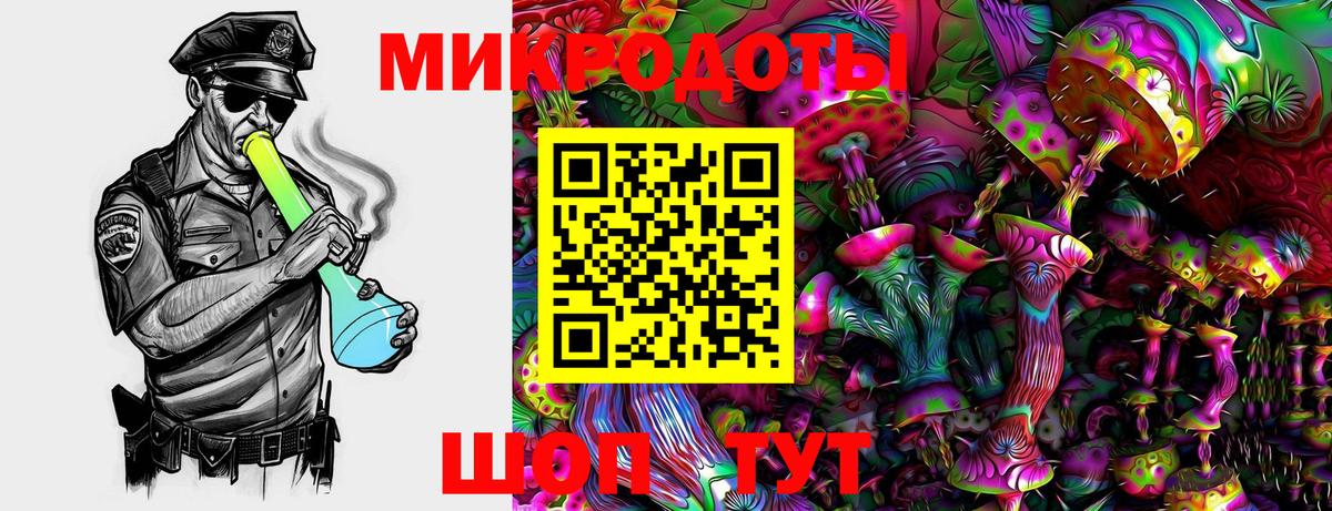 Псилоцибиновые грибы мухоморы Серпухов