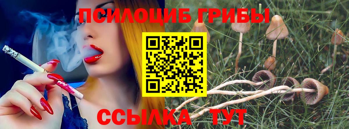 Псилоцибиновые грибы Cubensis  Галлюциногенные грибы Magic Shrooms  Серпухов  Вход с VPN 